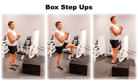 step up exercise box